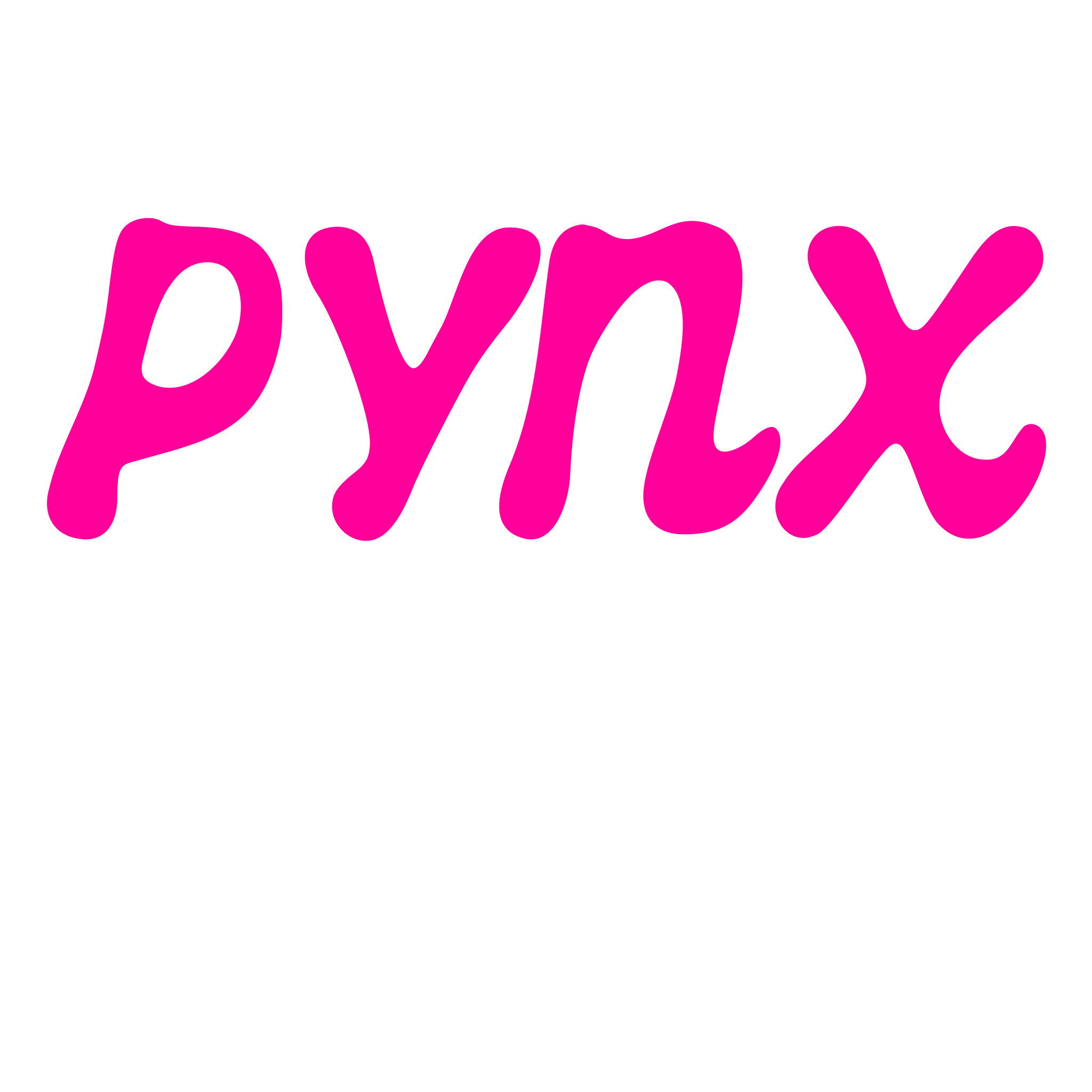 PYNX Studio